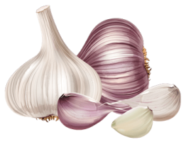 garlic.png garlic.png